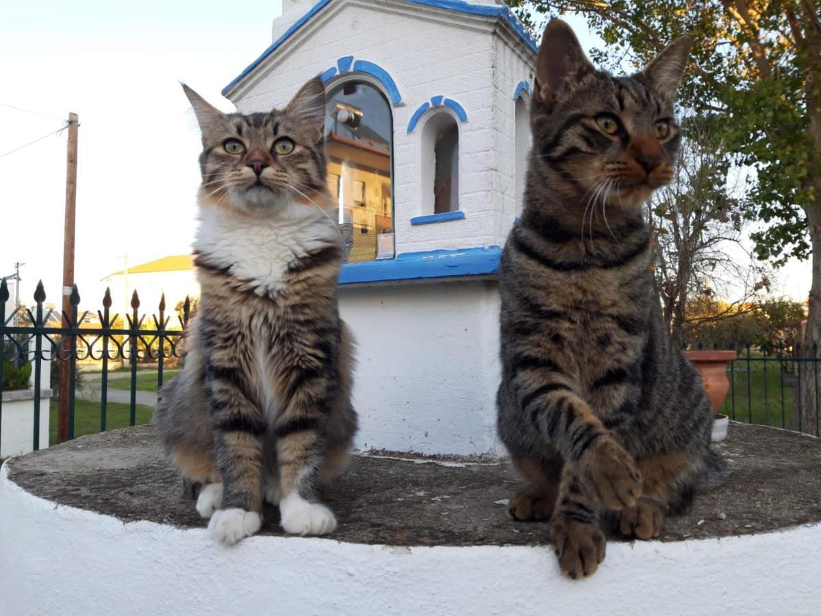 Meandros Village Врасна Екстериор снимка